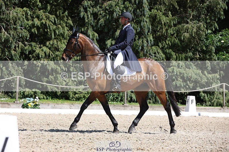 230526-144538-06539 - 374-ISLANDWOOD_THE_RISING-Sebastian_Roldan_Olivera-WEDTrotUp+DR