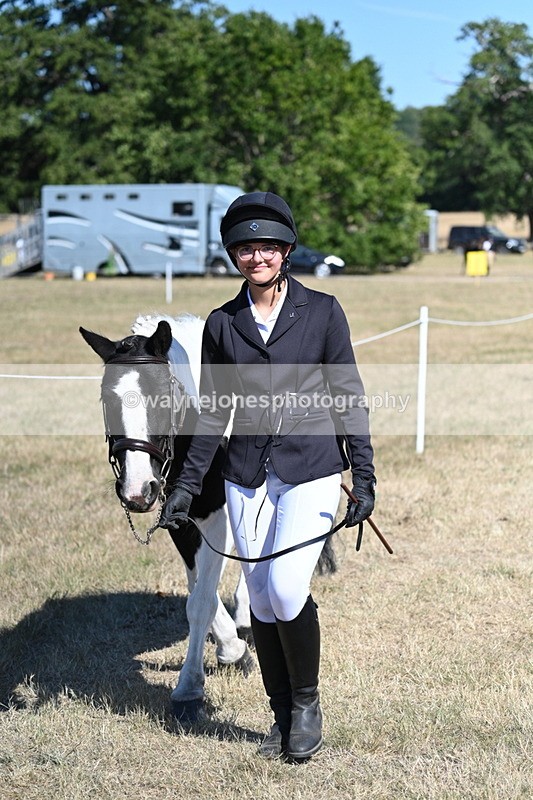 WJ7_1827 - Class 43 Best Six Legs (In hand)