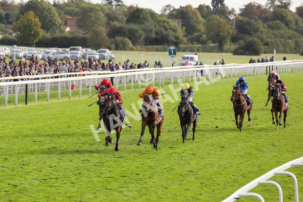 141023-Race 4-Colorada Dancer-0450 - Race 4 3.05pm Coral Racing Club EBF Maiden Stakes