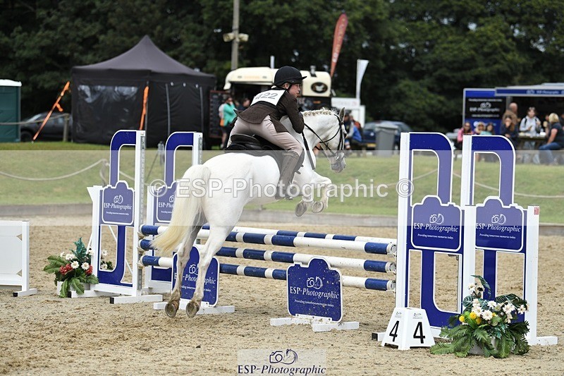 230827-124609-24629 - SJ 11.30 to End