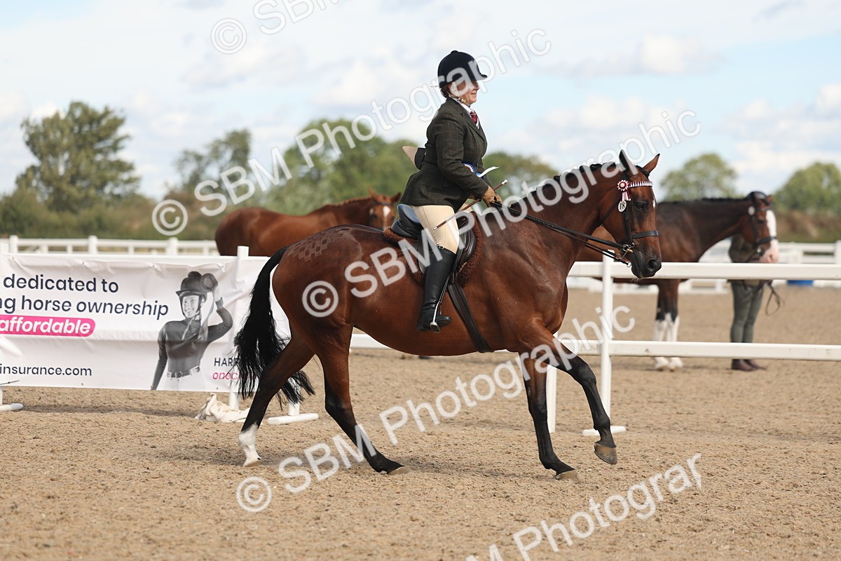 SBM_13213 - Class 306 - Ridden Foreign Breds - Part Bred