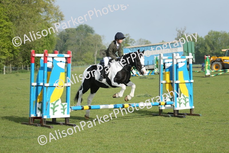 20260426-0015 - Class 13 - Rookie Jumping 50cm