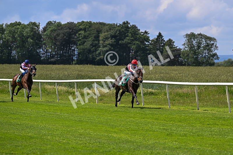 050626-Race 1-Eagle Bay-2555 - Race 1 13.40pm Hartshead Dos Champions Restricted Maiden Stakes (Div I)