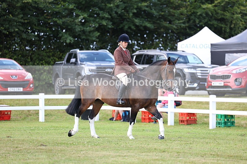 3E7A9619 - Class 5: Rising Star Lightweight/Heavyweight Cobs