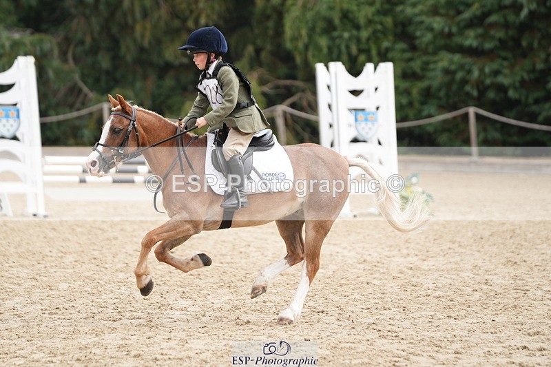 250824A-114427-35664 - 2028-Harry.Honeyball-Sardis.Cassius