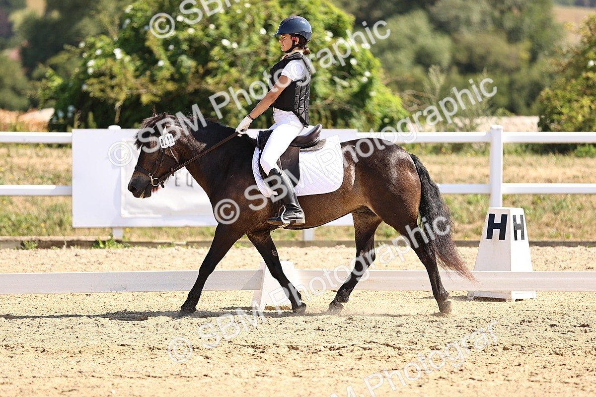 SBM_003520 - Intro 2