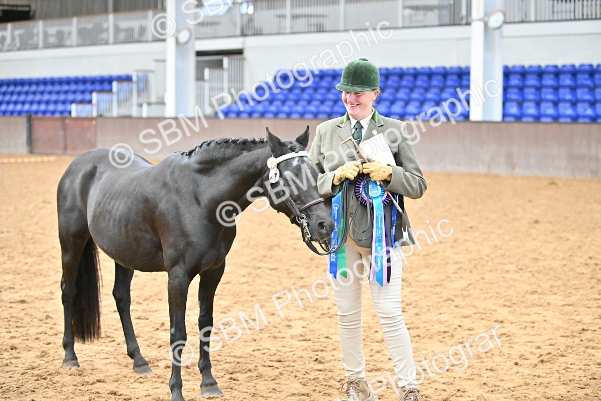 SBM_000747 - Class 14 - SSADL In Hand Championships