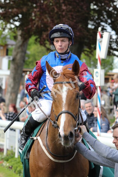yr12052022r3-37 - Race 3 3.00pm The Paddy Power Hambleton Stakes