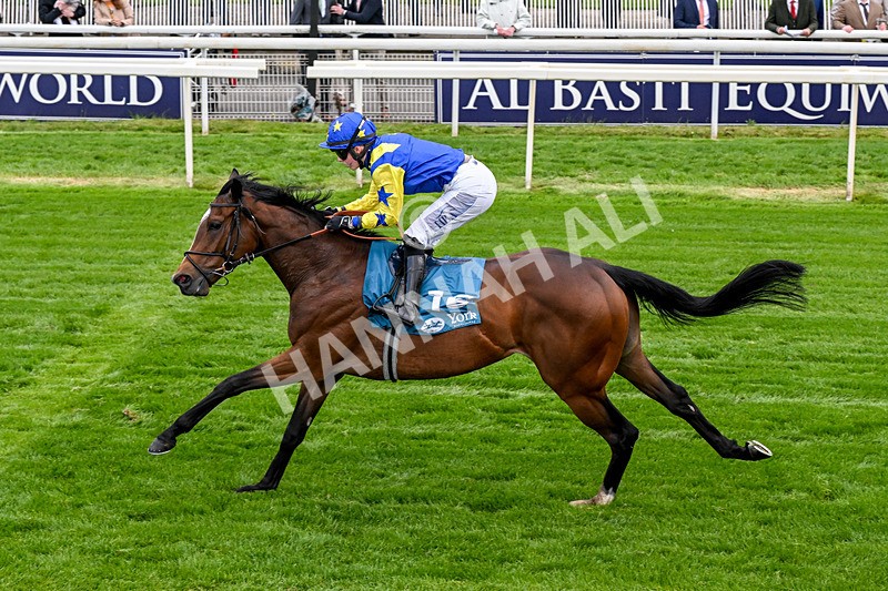 130526-Race 6-Startled-0388 - Race 6 4.40pm Conundrum HR Consulting Handicap