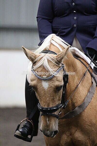 SIAL5484 - CAbin Dressage 5th july 2025