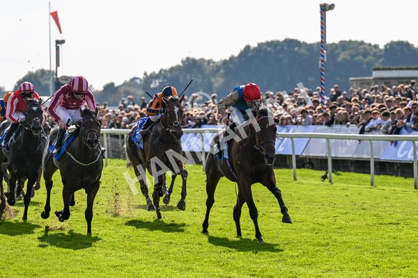 111025-Race 1-Division-0180 - Race 1 Coral Rockingham Stakes at York