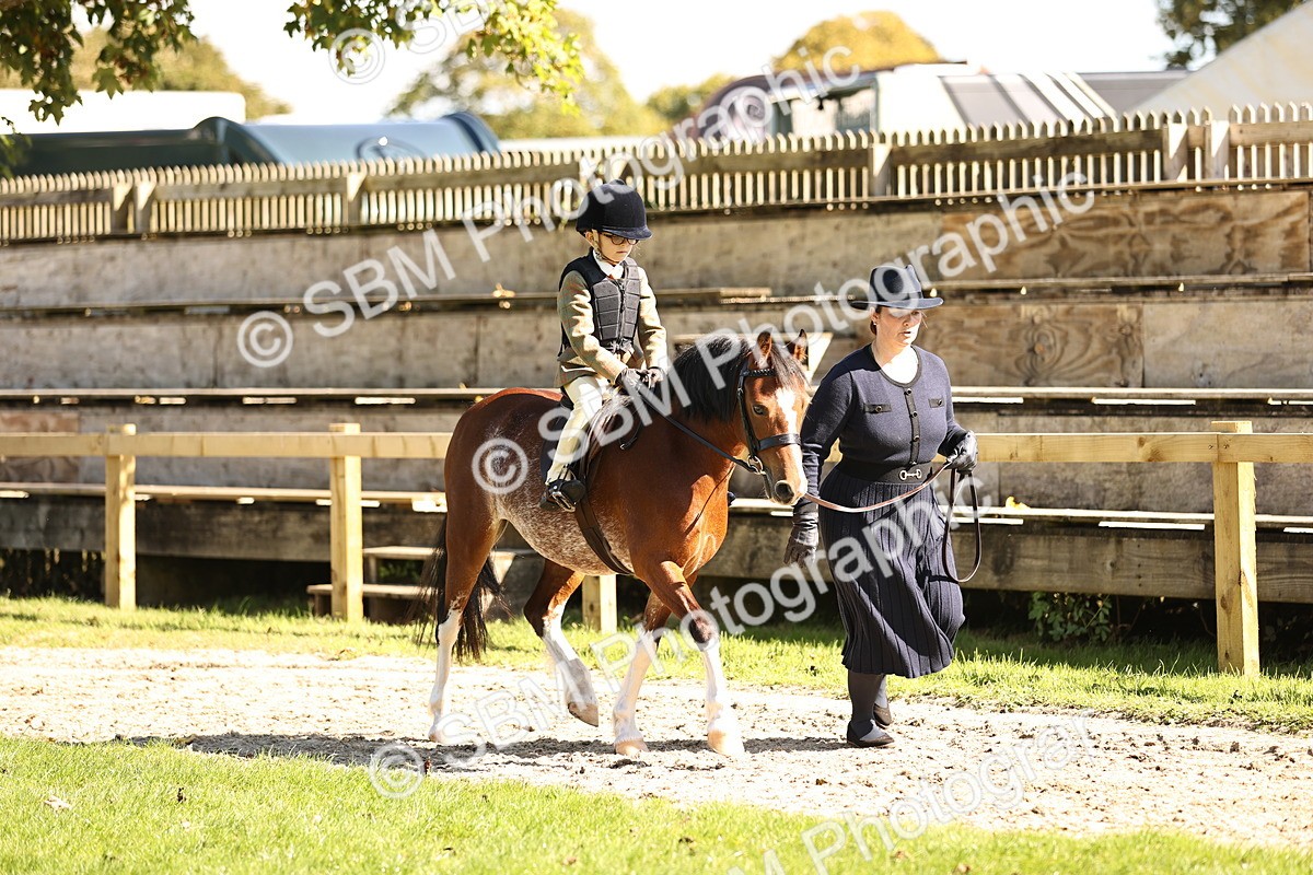 SBM_19214 - S3 - TSR Ridden Pony Showing