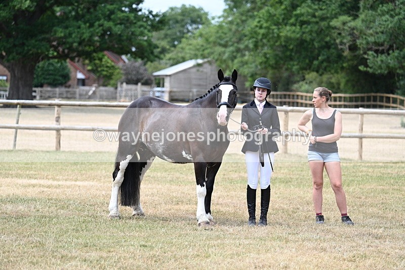 WJ7_1866 - Class 4a Prettiest Mare 14.2hh and over hand
