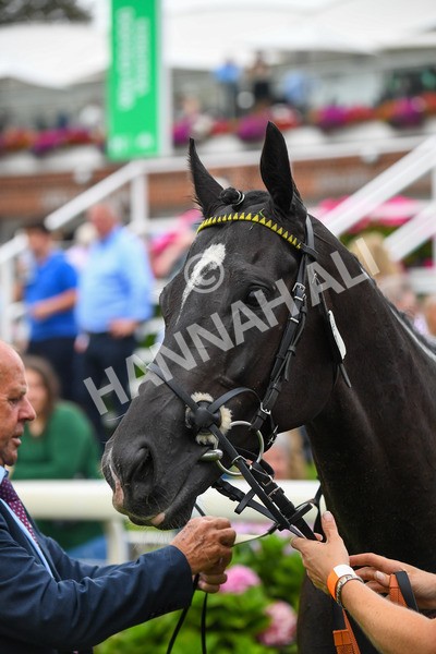 100923-Race 5-Commanche Falls-0963 - Race 5 3.50pm BetGoodwin Garrowby Stakes