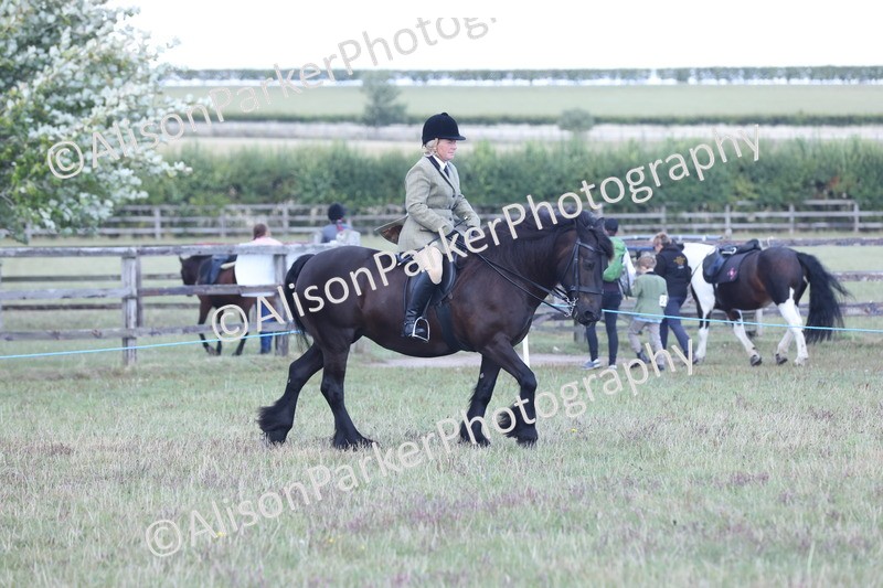 20250831-2896 - Class 19 - Mountain and Moorland