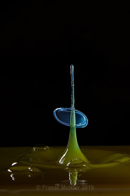 Water Droplet 9849 - Abstract Photography