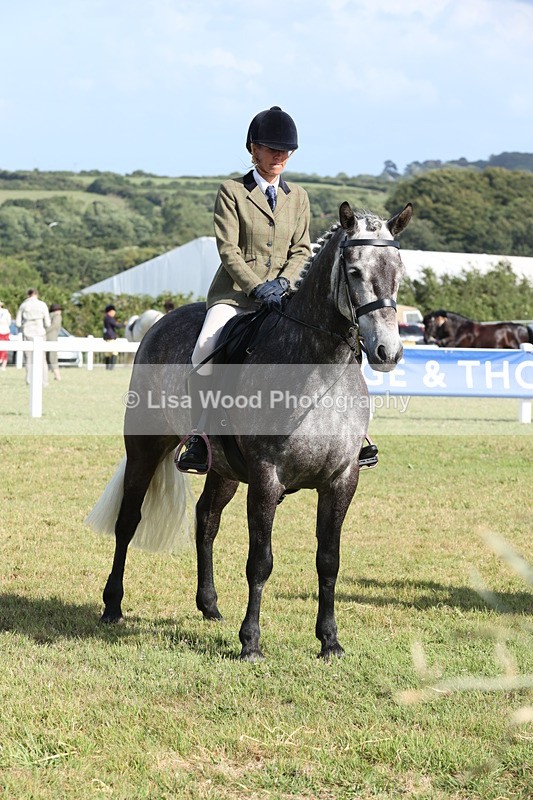 JPP_2974 - Class 20: Working Hunter 70cm