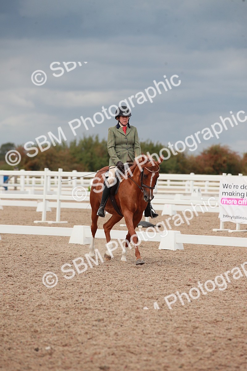 SBM_06006 - Class 32 - Novice 1