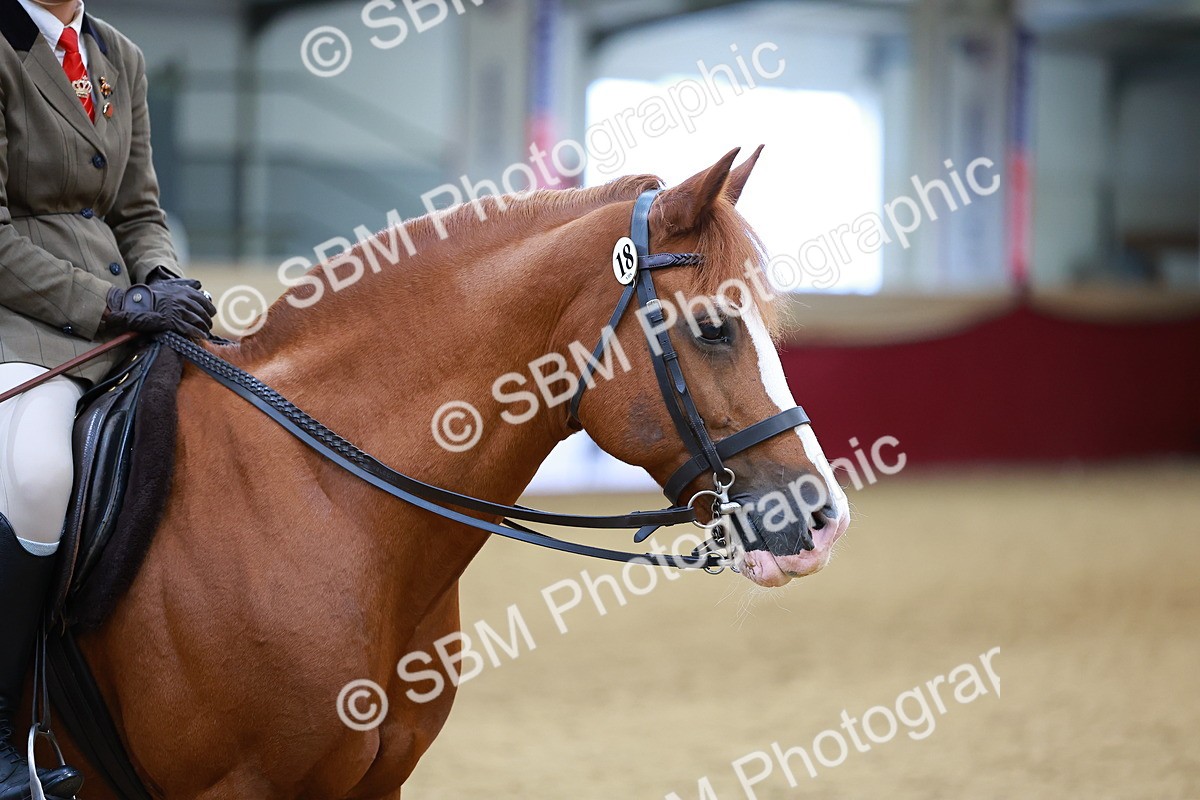 SBM_00818 - Class 6A - Ridden Pre-Vet