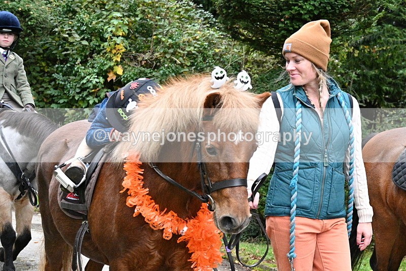 WJ7_6575 - Berks & Bucks - Children's Meet - The Old Farmhouse – Steventon.