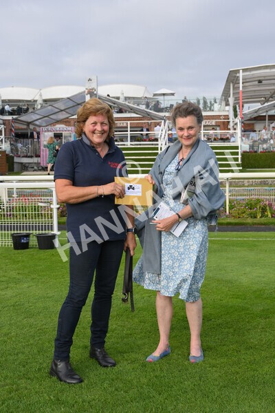 yr23072021r2-56 - Race 2 6.30pm IRE-Incentive It Pays To Buy Irish Stakes