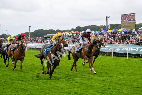 130724-Race 1-Blue For You-6953 - Race 1 2.00pm John Smith's Racing Handicap