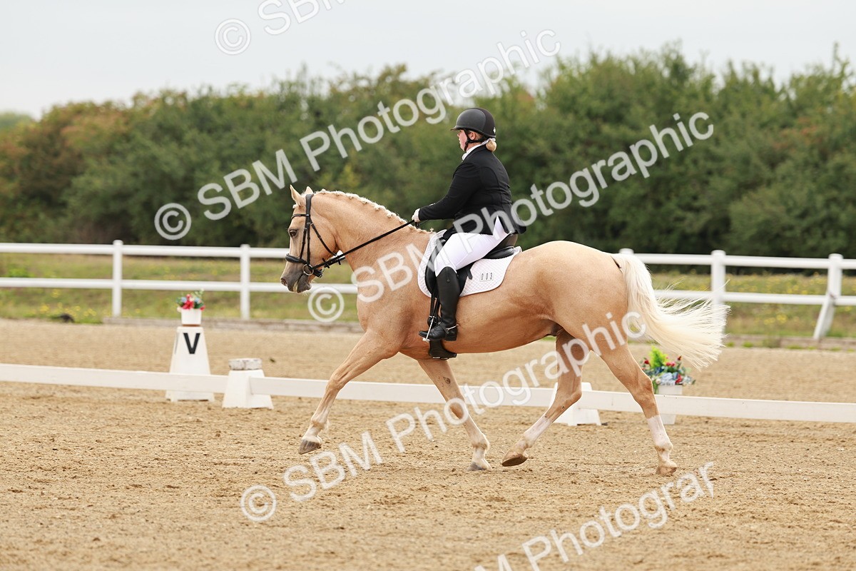 SBM_009110 - Class 12 - Elementary 6 - 9.30-10.34