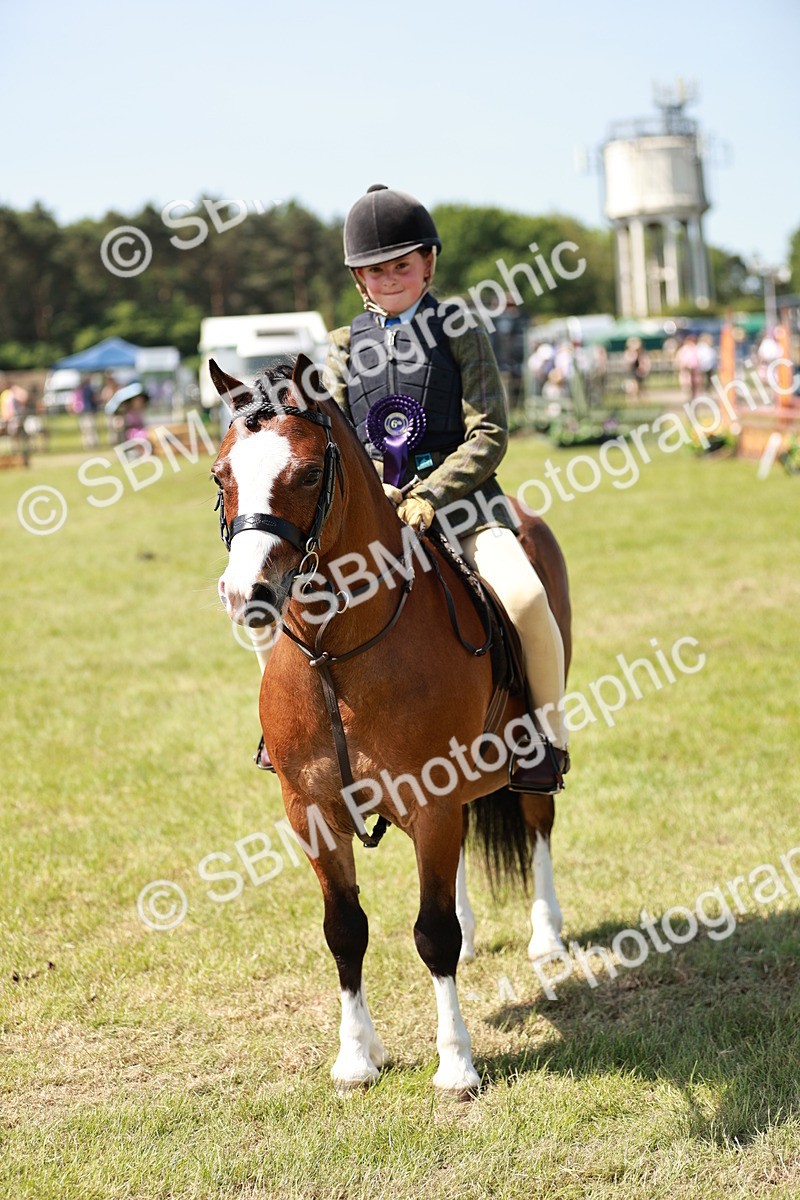 SBM_13666 - Class 108-109 - BSPS LIHS Open Gradle & Nursery Stakes