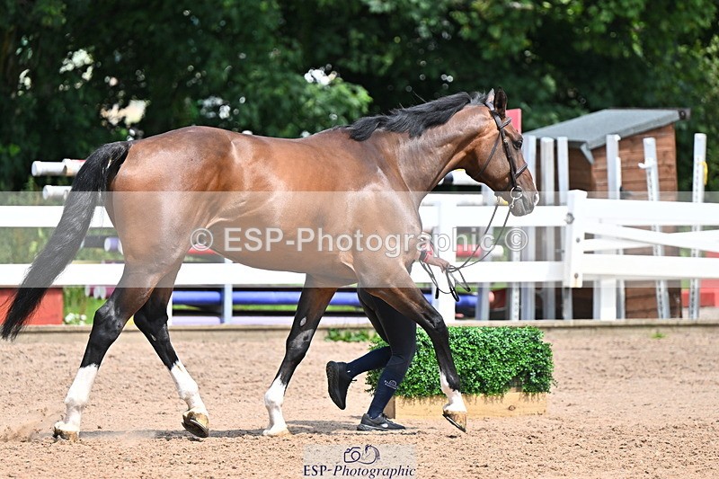 240718A-105302-01466 - Trot Up 12pm to 1pm