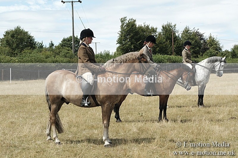 _PJP5990 - BVRC Show 2018 Ring 1