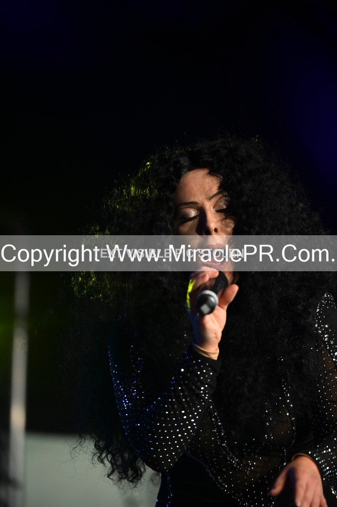 SH4_6036 - The Cher Experience
