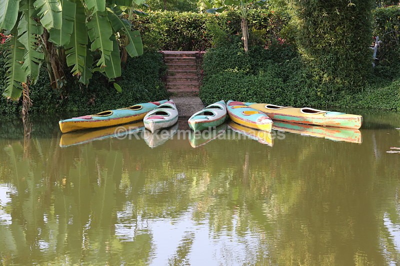 VIET_0297 - Vietnam 2017