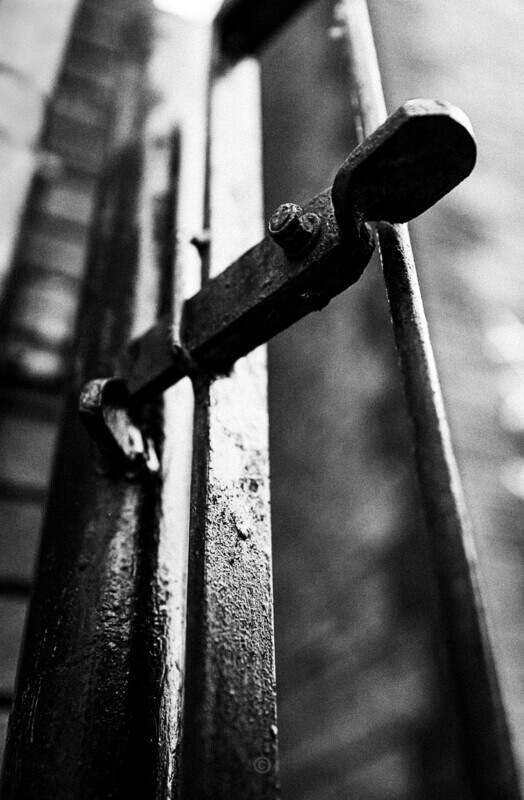 Lockdown - The Lockdown Series