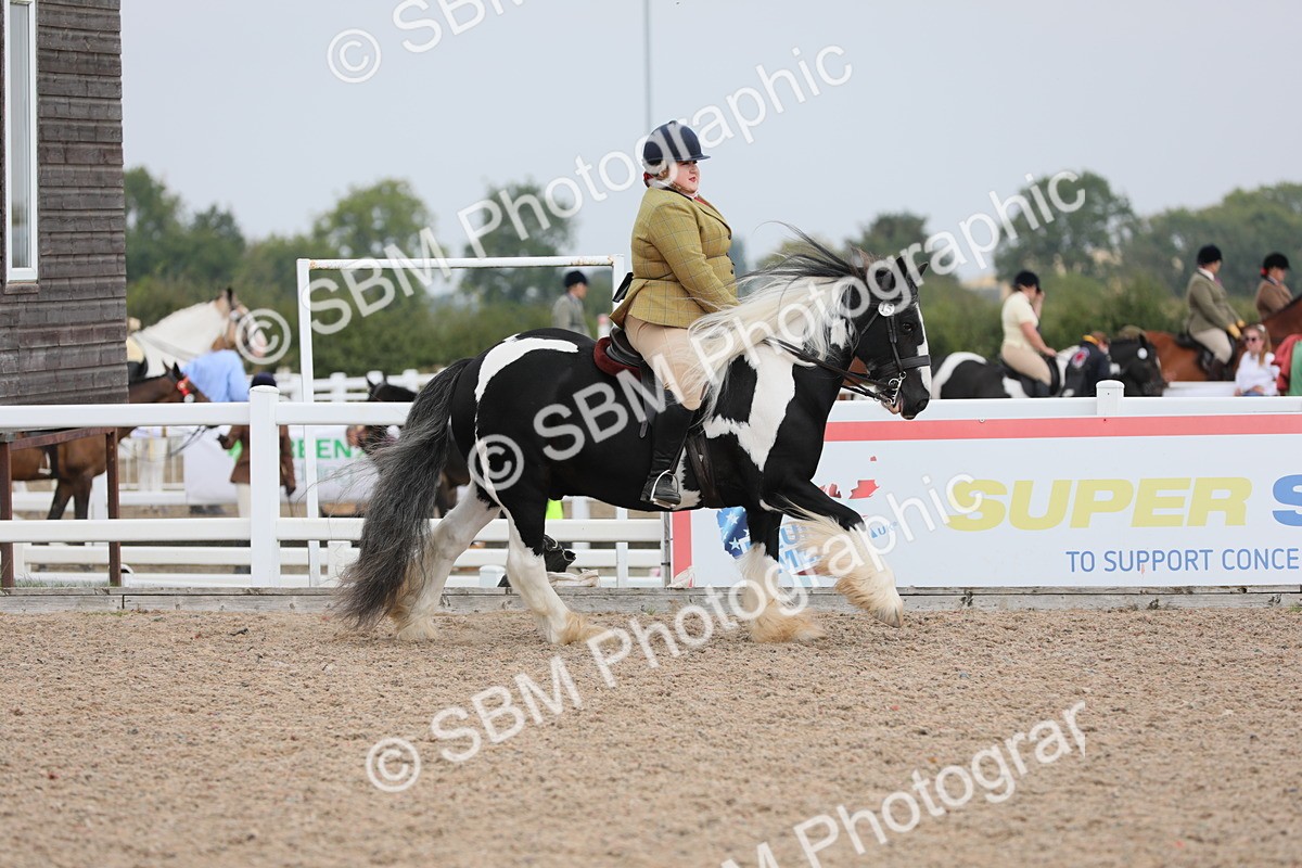 SBM_12762 - Class 307 Ridden Coloured Pony