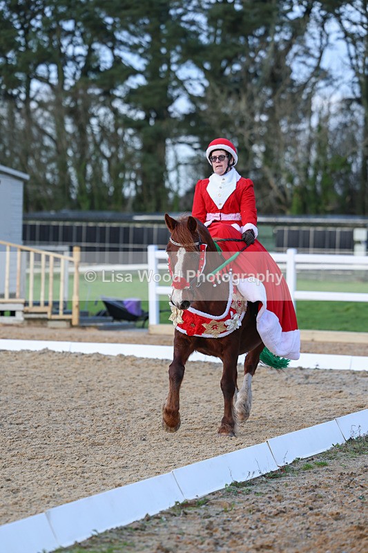 3E7A5005 - Class 5: Novice