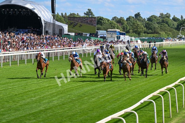 280625-Race 6-Dream Out Loud-0541 - Race 6 4.50pm Al Basti Equiworld Dubai Sprint Handicap