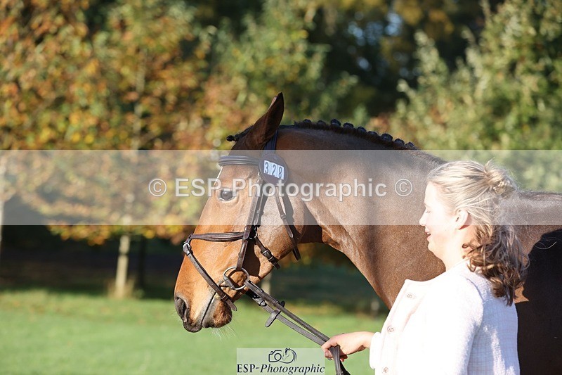 241027-090256-14992 - 328-Zara.Head-FOURFIELDS.LOVEHEART