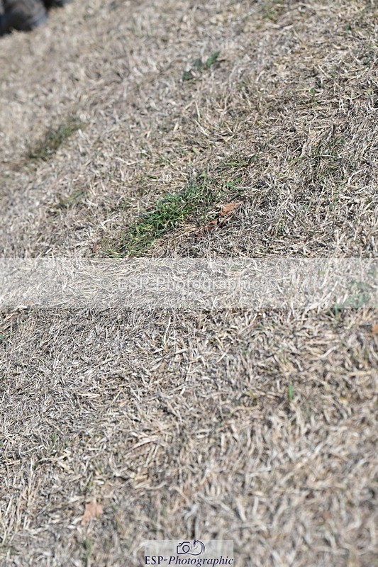 250824A-165436-39775 - PC80 Presentations