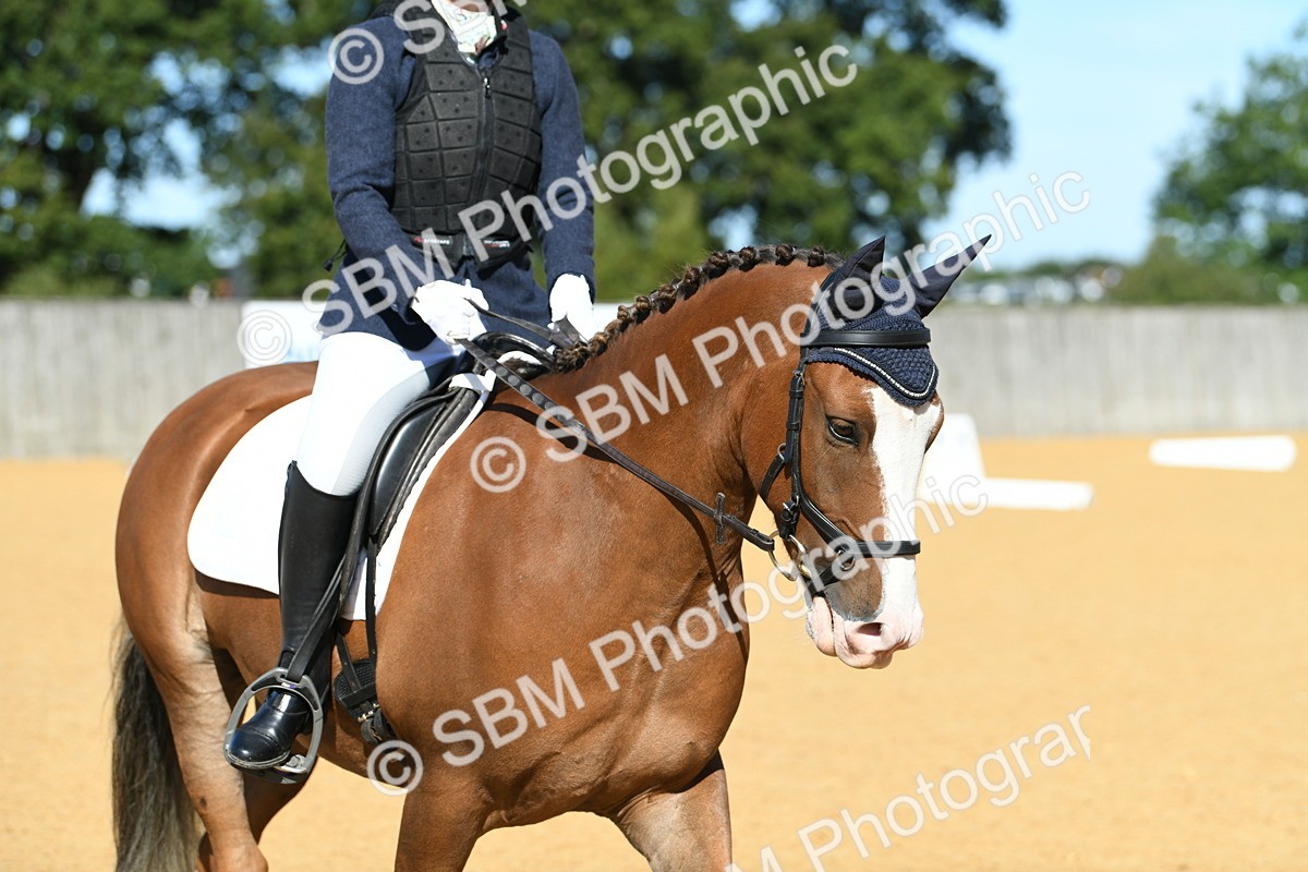 SBM_18131 - D4 - Small Tour Championship - Intro B