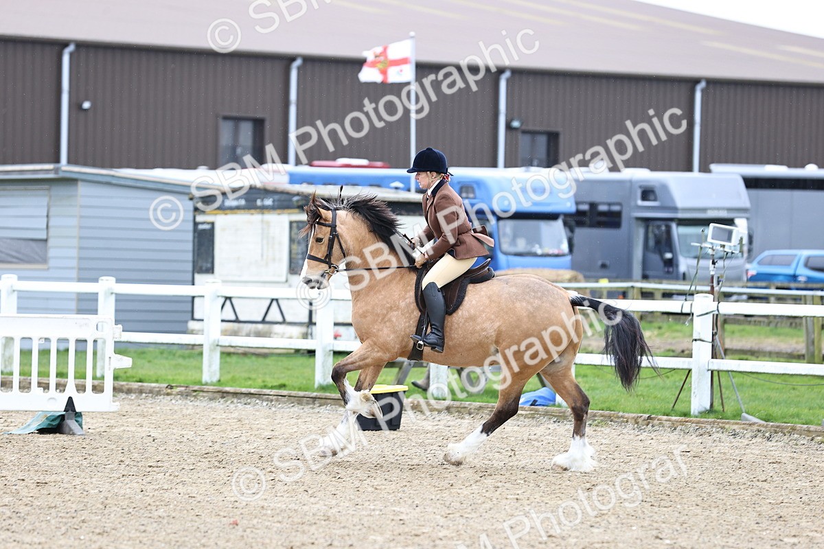 SBM_007006 - Class 29 - 30 - M&M Pure Novice Small-Large Breeds
