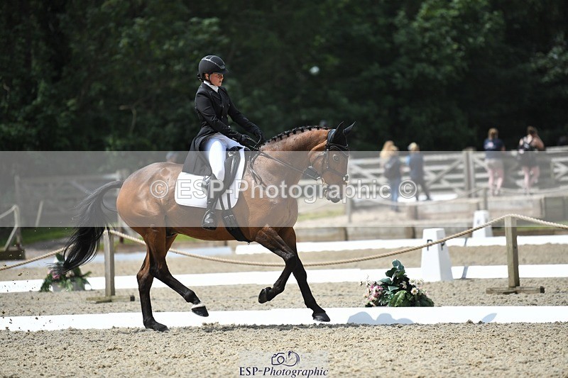 230525-114753-01903 - 103-CLOUDED_LEOPARD-Jessica_Coombes-WEDTrotUp+DR