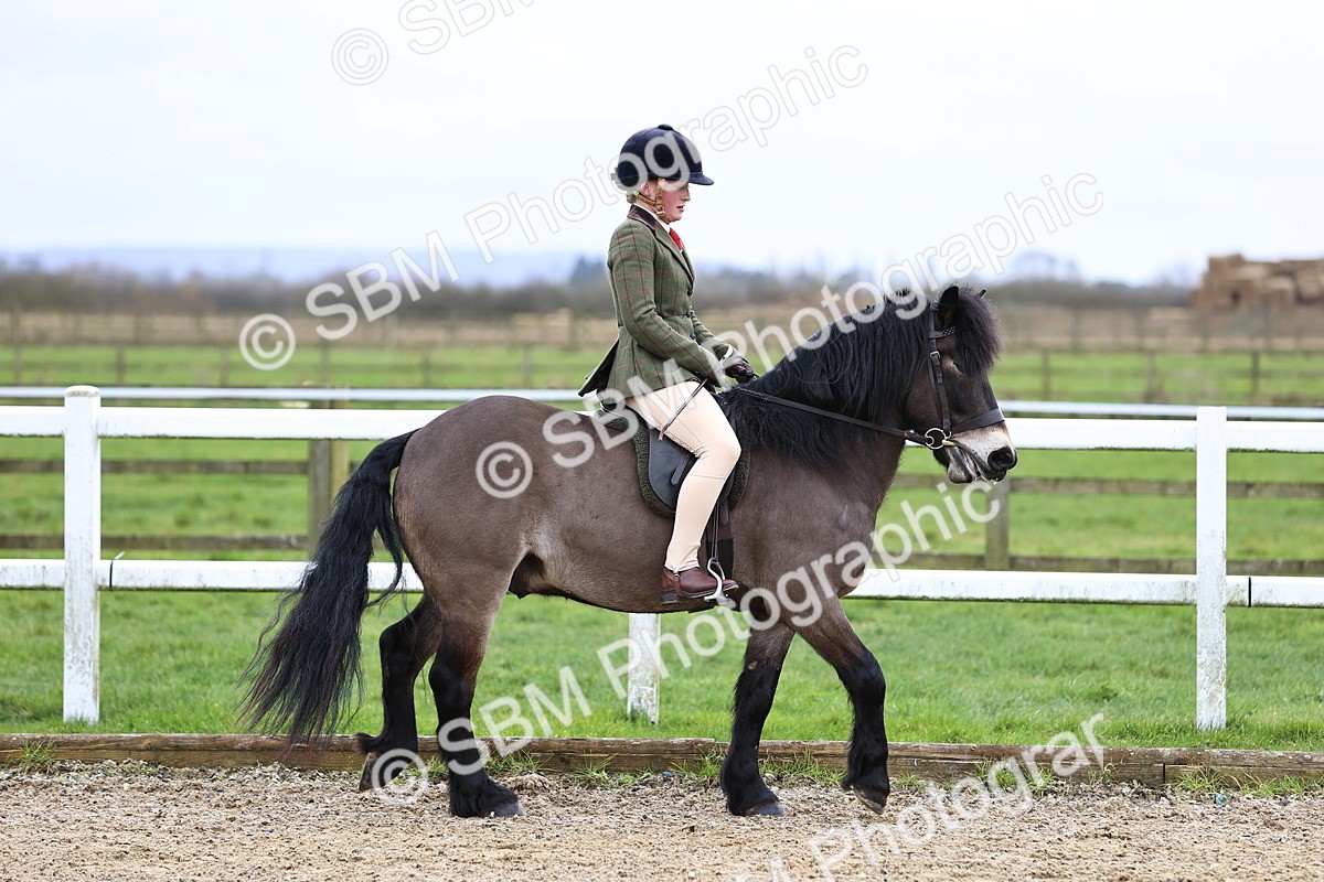 SBM_006729 - Class 29 - 30 - M&M Pure Novice Small-Large Breeds