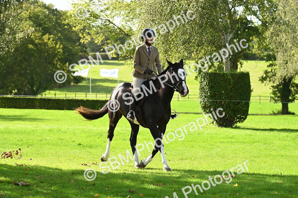 SBM_01515 - S2 - TSR Ridden Horse Showing