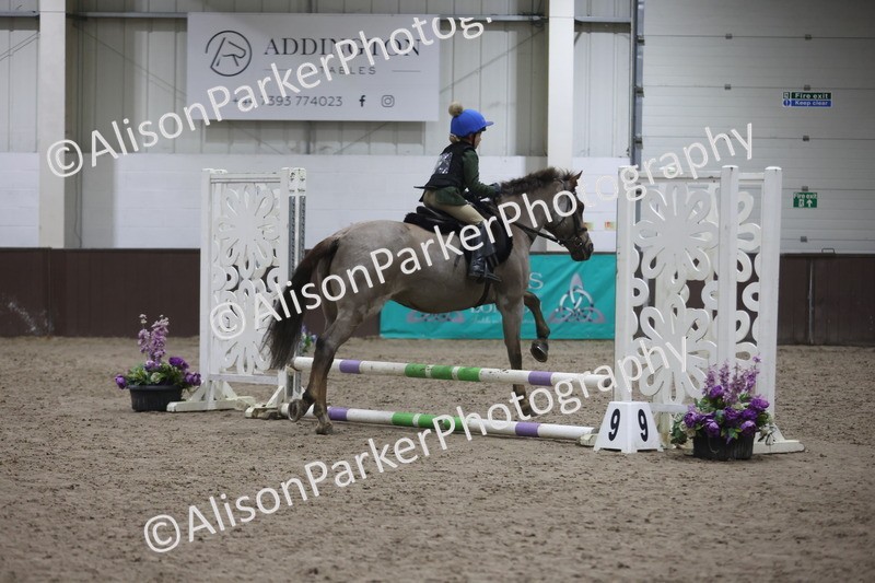 20260125-1202 - Class 2 - 50cm