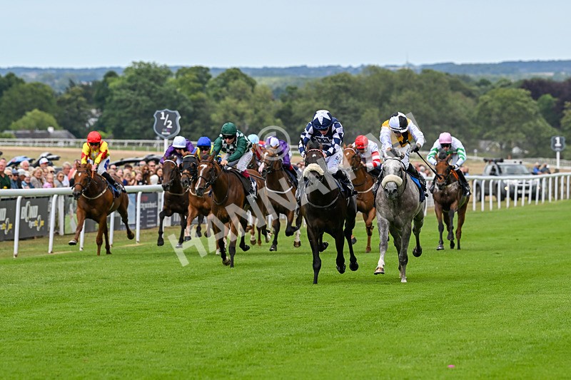 050725-Race 2-Mo Of Cairo-7491 - Race 2