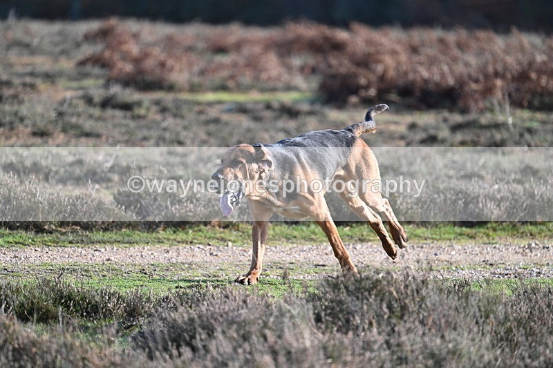 WJ7_8004 - Line 3 (no line 4 or 5)