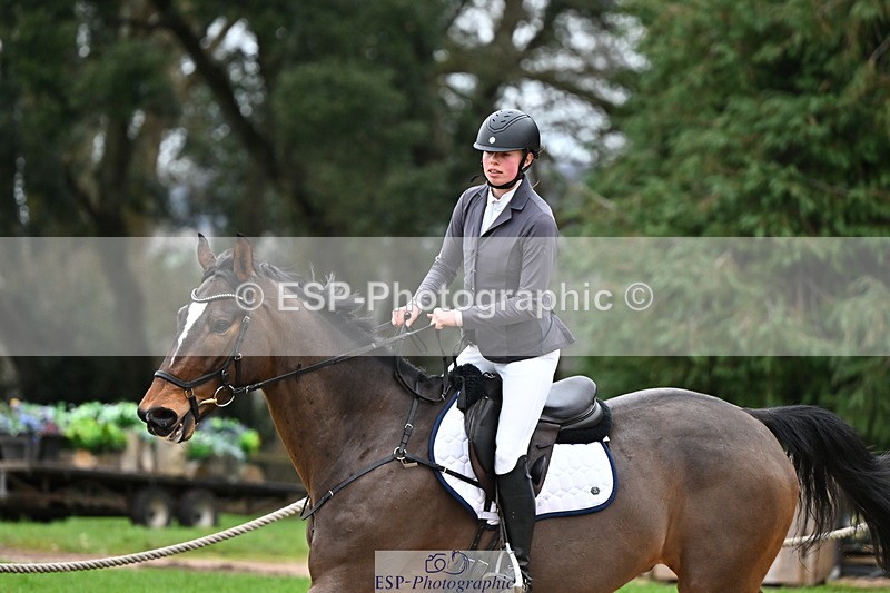 250201A-102642-00229 - Cls 01 Local Horse 90cm