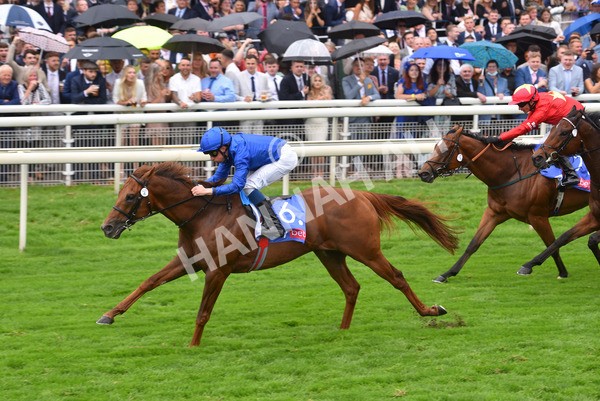 yr21082021r3-22 - Race 3 3.00pm Sky Bet City of York Stakes