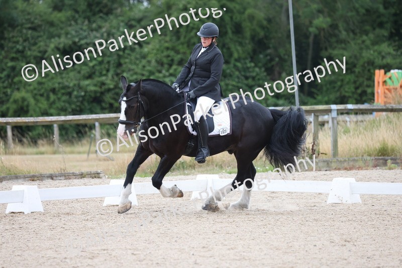 20250706-0106 - Class 11 - MQ Open Novice Test 3