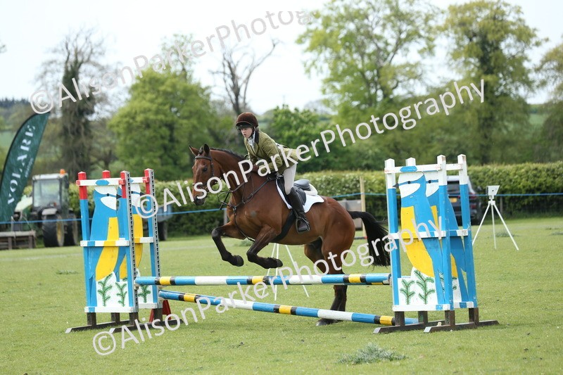 20260426-2077 - Class 15 - Absolute Novice 70cm
